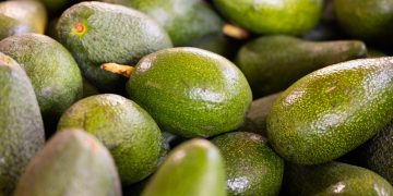 Alpukat