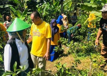 Kebun lemon SMA Conggeang Sumedang