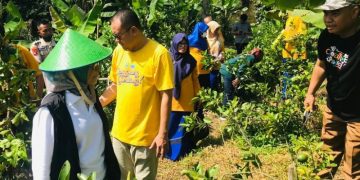 Kebun lemon SMA Conggeang Sumedang