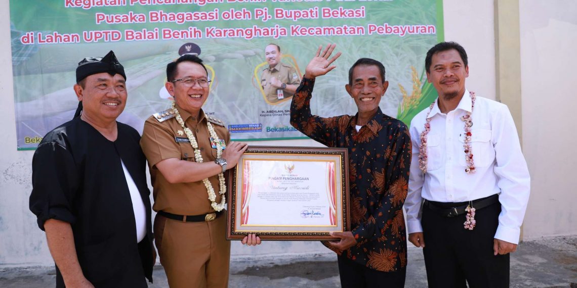 Pj Bupati Bekasi, Dani Ramdan didampingi Kepala Dinas Pertanian, Abdillah Majid memberikan penghargaan kepada penemu benih Varietas Padi Lokal Pusaka Bhagasasi, Untung Mursidi, Ketua Kelompok Tani (Poktan) Desa Mekarjaya, Kecamatan Kedungwaringin, di Kantor UPTD Balai Benih Kp. Tambun, Desa Karangharja, Kecamatan Pebayuran, pada Senin (04/03/2024).