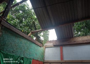 Pohon menimpa rumah warga Sukabumi saat hujan deras disertai angin kencang melanda kawasan itu. Kapolsek Cikidang Iptu Hotben Sianturi mengatakan kejadian pohon tumbang itu terjadi pada hari Sabtu tanggal 9 Maret 2024 sekira jm 09.30 Wib.