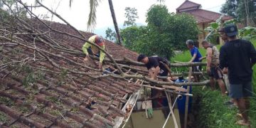 Dua rumah warga Talegong Garut tertimpa pohon tumbang akibat tiupan angin kencang yang terjadi pada hari Selasa (12/3/2024). Kejadian tersebut terjadi di Desa Selaawi dan Desa Mekarwangi Kecamatan Talegong