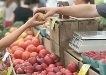 Belanja beli buah-buahan