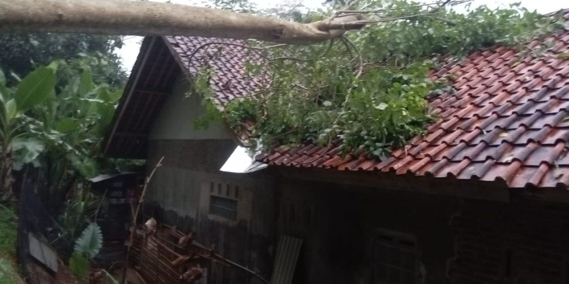 Satu rumah warga tertimpa pohon akibat angin kencang yang merobohkan pohon tersebut Kamis (25/4/2024) di Kecamatan Cisaga Kabupaten Ciamis.