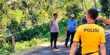 Polisi cek tanah longsor di Dusun Desa RT 06 RW 02 Desa Gunungsari Kecamatan Sadananya Kab. Ciamis Jum’at 26 April 2024.