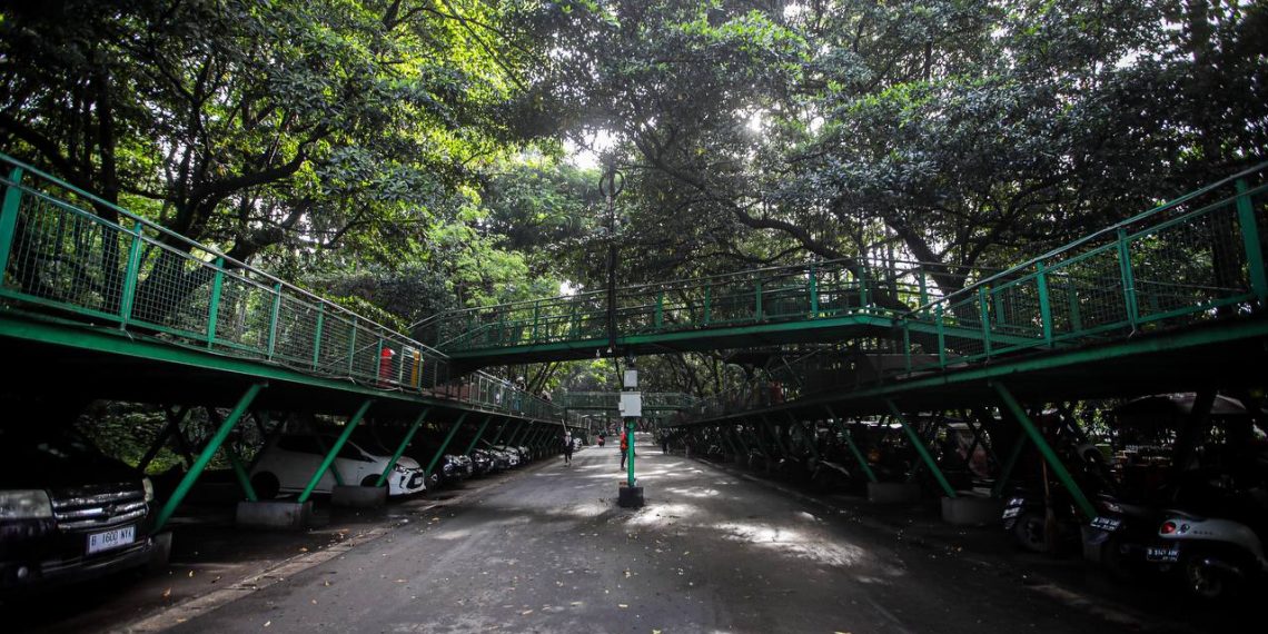 Hutan kota Babakan Siliwangi menyediakan fasilitas "forest walk" berupa jembatan khusus pejalan kaki yang membentang sepanjang dua kilometer mengelilingi rindangnya hutan.
