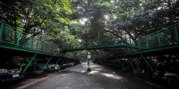 Hutan kota Babakan Siliwangi menyediakan fasilitas "forest walk" berupa jembatan khusus pejalan kaki yang membentang sepanjang dua kilometer mengelilingi rindangnya hutan.