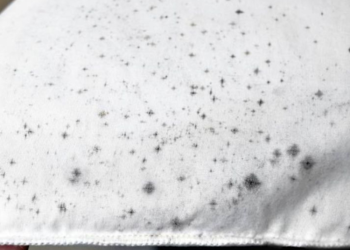 Kenapa ada jamur di pakaian yang lama tersimpan? J