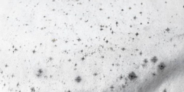 Kenapa ada jamur di pakaian yang lama tersimpan? J