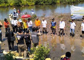 Satpol PP Jabar tanam 1.000 pohon mangrove di Dusun Karangtirta Desa sukaresik Kecamatan Sidamulih Kabupaten Pangandaran Selasa (7/5/2024).