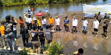Satpol PP Jabar tanam 1.000 pohon mangrove di Dusun Karangtirta Desa sukaresik Kecamatan Sidamulih Kabupaten Pangandaran Selasa (7/5/2024).