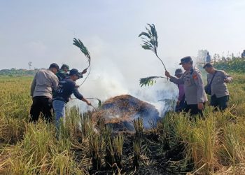 Polisi imbau petani tak bakar jerami sembarangan