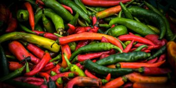 Cabai dan dampak makanan pedas bagi kesehatan