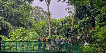 Pemerintah Kota (Pemkot) Bandung meluncurkan reaktivasi Forest Walk Babakan Siliwangi pada Sabtu 15 Juni 2024.