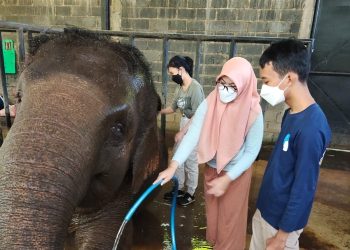 Bandung Zoo ajak remaja ikut program Teenage Zookeeper Training dimana mereka mendapatkan kesempatan mengisi liburan dengan kegiatan edukatif dan produktif.