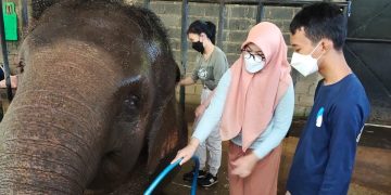 Bandung Zoo ajak remaja ikut program Teenage Zookeeper Training dimana mereka mendapatkan kesempatan mengisi liburan dengan kegiatan edukatif dan produktif.