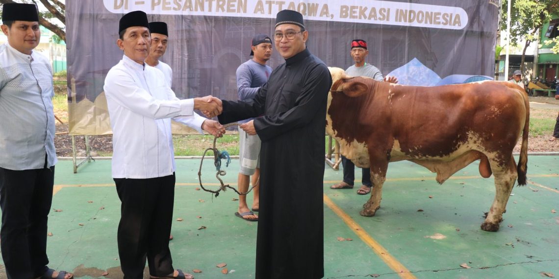 Pemkab Bekasi serahkan sapi ke Pondok Pesantren At-Taqwa Putra, Ujung Harapan Kelurahan Bahagia Kecamatan Babelan, pada Senin (17/6/2024).