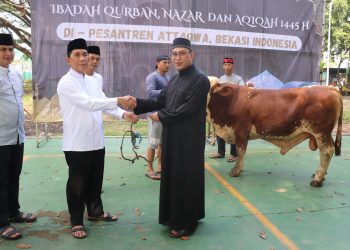 Pemkab Bekasi serahkan sapi ke Pondok Pesantren At-Taqwa Putra, Ujung Harapan Kelurahan Bahagia Kecamatan Babelan, pada Senin (17/6/2024).