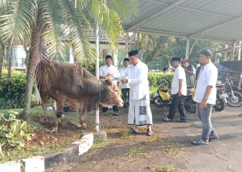 Pemkab Bogor salurkan 95 ekor sapi dan domba di Hari Raya Idul Adha ke 1445 Hijriah.