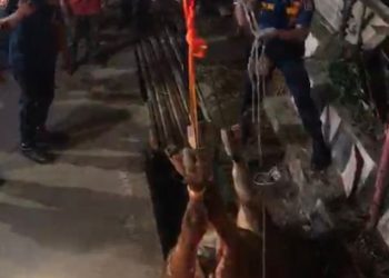 Sapi masuk parit di Maleber Kota Bandung diselamatkan Dinas Kebakaran dan Penanggulangan Bencana (Diskar PB) Kota Bandung.