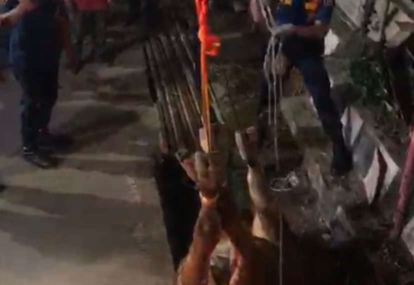 Sapi masuk parit di Maleber Kota Bandung diselamatkan Dinas Kebakaran dan Penanggulangan Bencana (Diskar PB) Kota Bandung.