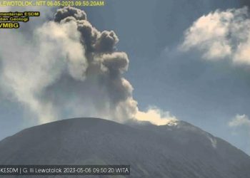 emantauan Pusat Vulkanologi dan Mitigasi Bencana Geologi (PVMBG) Badan Geologi Kementerian Energi dan Sumber Daya Mineral (ESDM) menunjukkan aktivitas vulkanik Gunungapi Ili Lewotolok menunjukkan penurunan.