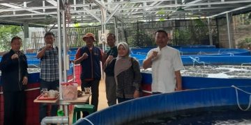 Budidaya ikan dengan menggunakan teknik bioflok semakin populer di Kabupaten Sumedang