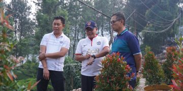 Pj. Bupati Bogor, Asmawa Tosepu, mengajak seluruh Perangkat Daerah (PD) untuk bekerja secara sinergis dan bertanggung jawab dalam menjaga kerapihan dan keindahan kawasan puncak. Hal ini disampaikan saat Asmawa Tosepu melakukan peninjauan langsung lokasi penanaman pohon pucuk merah di bekas pembongkaran bangunan liar di kawasan Puncak pada Jumat sore (19/7/24).