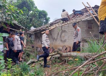 Pohon tumbang timpa rumah warga di Cianjur, tepatnya di Desa Cimanggu Kecamatan Cibeber Kabupaten Cianjur Jawa Barat Sabtu 6 Juli 2024 sekitar pukul 14.30.