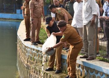 Pemerintah Kabupaten Kuningan luncurkan program penebaran sejuta benih ikan "Pasukan Paus" di Situ Citiis, Selasa 2 Juli 2024.