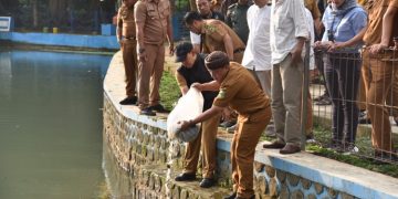 Pemerintah Kabupaten Kuningan luncurkan program penebaran sejuta benih ikan "Pasukan Paus" di Situ Citiis, Selasa 2 Juli 2024.