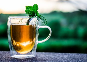 Teh herbal mint