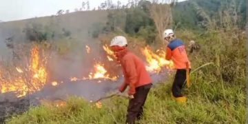 Pemadaman kebakaran hutan