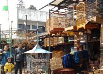 Pasar Burung Sukahaji