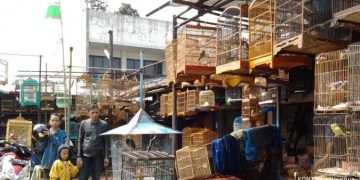 Pasar Burung Sukahaji