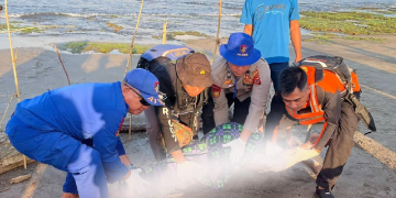 Polres Garut temukan salah satu korban wisatawan yang hilang terseret ombak laut pada Sabtu (13/7/24) pukul 06.30 Wib.