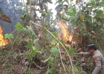 Kebakaran lahan di Buahdua Kabupaten Sumedang Jawa Barat.(FOTO: Istimewa)