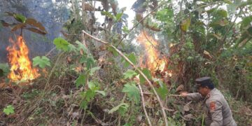 Kebakaran lahan di Buahdua Kabupaten Sumedang Jawa Barat.(FOTO: Istimewa)