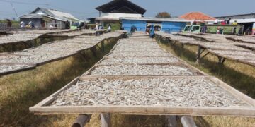 Sentra Kehidupan dan Tradisi di Pantai Baro Cirebon.(FOTO: Humas Pemkab Cirebon)