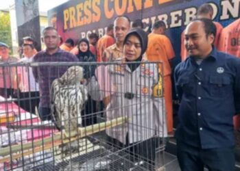 Satwa-satwa liar dilindungi yang berhasil diamankan Satreskrim Polresta Cirebon, setelah diperjual-belikan seorang remaja berusia 16 tahun.(Foto:Istimewa).