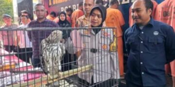 Satwa-satwa liar dilindungi yang berhasil diamankan Satreskrim Polresta Cirebon, setelah diperjual-belikan seorang remaja berusia 16 tahun.(Foto:Istimewa).