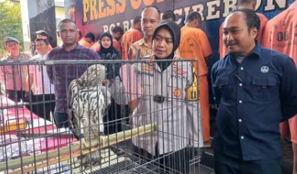 Satwa-satwa liar dilindungi yang berhasil diamankan Satreskrim Polresta Cirebon, setelah diperjual-belikan seorang remaja berusia 16 tahun.(Foto:Istimewa).