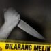 Ilustrasi aksi penusukan.(Foto:Istimewa).
