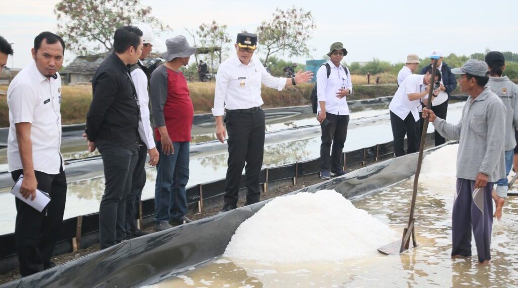 Penjabat (Pj) Bupati Cirebon, Wahyu Mijaya mengungkapkan, bahwa Kabupaten Cirebon memiliki potensi lahan produksi garam seluas 2.666 hektare, dengan 1.242 hektare di antaranya telah digarap.