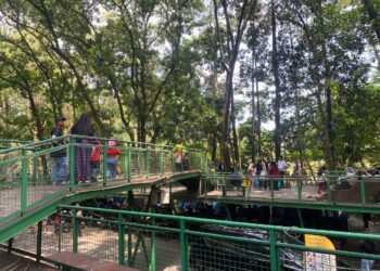 Hutan Babakan Siliwangi