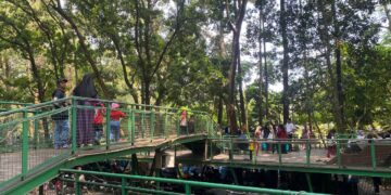 Hutan Babakan Siliwangi