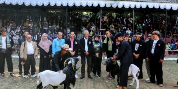 Ketangkasan domba di Babakan Siliwangi Kota Bandung.