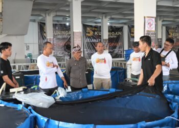 Kontes Kuningan Koi Show 2024