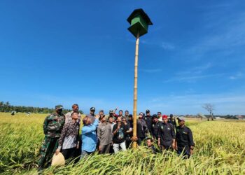 Rumah Burung Hantu di Garut