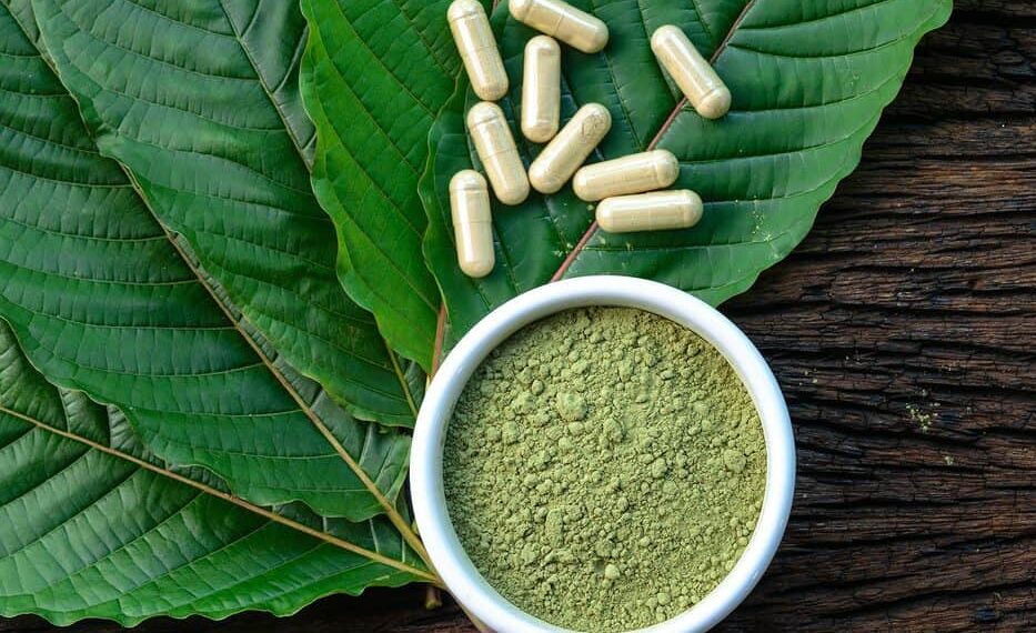 Kratom.(FOTO: BNN Sumsel)